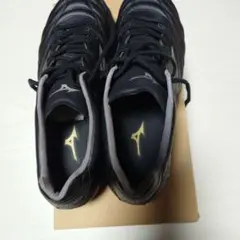 Item thumbnail for item b5409e87-1b1f-4271-9849-a57878271617