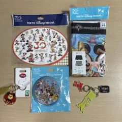 東京ディズニーリゾート 30周年記念グッズと他 セット