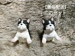 犬がお預かりします　フレンチブルドッグ　二匹セット
