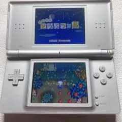 2026年最新】ds lite グロスシルバーの人気アイテム - メルカリ