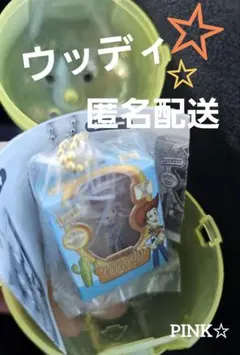 Disney Toy Story ミニチュアパッケージコレクション ウッディ✨