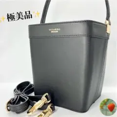 ⭐︎新品未使用⭐︎VIOLA'dORO/ヴィオラドーロ　かごバッグ　カゴ 楽天市場】【SALE 20%OFF】ヴィオラドーロ かごバッグ 2WAYショルダー