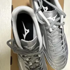 モナルシーダネオ　SALA SELECT IN 26.5