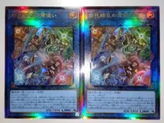 四花繚乱の霊使い　2枚セット