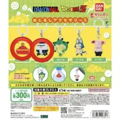 ドラゴンボールめじるしアクセサリー