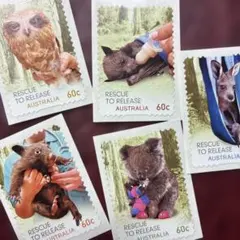 Item thumbnail for item 1ed36105-504f-4d7f-9e14-422397a027aa