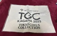 Item thumbnail for item 6afcaf16-01ce-40cb-b951-2ef1e54ab23f