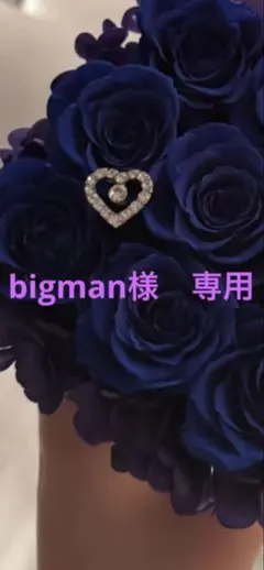 METAL GEAR SOLID Δ SNAKE EATER PS5