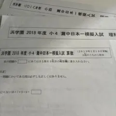 Item thumbnail for item 10ba851e-d618-4dff-a308-a2bedf49219f