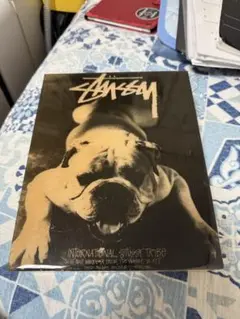 ★Stussy 壁掛け　オブジェ★
