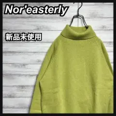 【新品未使用!!】nor'easterly セーター ハイネック bshop