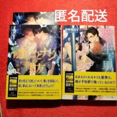 BL小説　沙野風結子　隠しごとナシの親友　夢を生む男　イラストカード