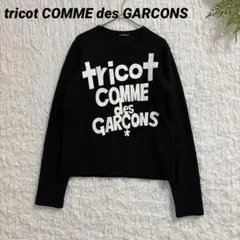 トリコ コムデギャルソン ロゴ ペイント ウール ニット ビンテージ 02AW