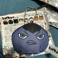 ハイキュー!! トレーディング動物マスコットミニビーズクッション　影山