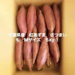 千葉県産　紅あずま　さつまいも　Ｍサイズ　５Kg ①
