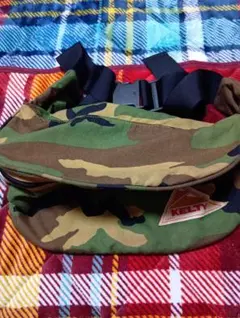 Item thumbnail for item bef34fb3-f7b4-408a-8f5b-f4d24e0bc5b5