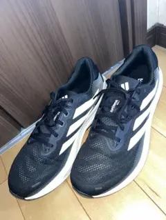 【28cm WIDE】adidas SUPERNOVA RISE 2のサムネイル