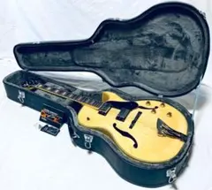 2026年最新】フルアコ ケースの人気アイテム - メルカリ