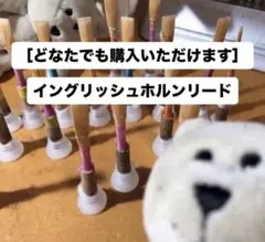 2026年最新】イングリッシュホルンの人気アイテム - メルカリ