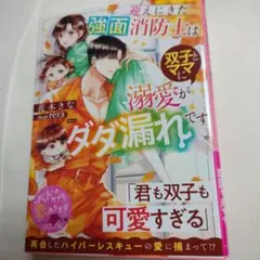 【Y016】迎えにきた強面消防士は双子とママに溺愛がダダ漏れです