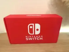 Nintendo Switch 本体 グレー カラーカスタマイズ