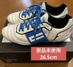 CAPITTEN ONE PRO キャピテン イニエスタ スパイク