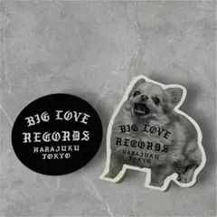 BIG LOVE RECORDS 非売品ステッカー 2枚セット レコード