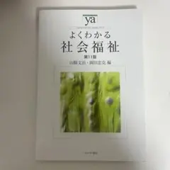 よくわかる社会福祉 第11版