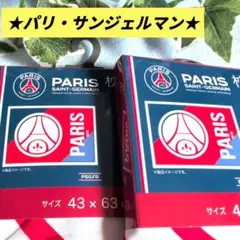 PSG ★パリサンジェルマン★まくらカバー 2点セット 新品 43×63㎝