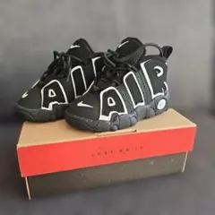 Item thumbnail for item 70de1f5c-b0ee-4e6a-9d10-a15598131306