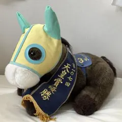 海物語 ウリン タオル Tシャツ - メルカリ