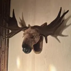 ハンティングトロフィー