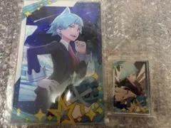 【即購入可】ポケマスEX ダイゴ アクリルパネル