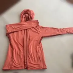 Item thumbnail for item a99cb410-dd73-4cf5-bd26-27b4ee4f4bb6