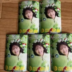 ボートレース 尼崎 福留光帆 マグネット　5枚セット　非売品