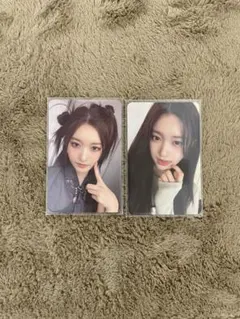 イソ　トレカ　2枚セット