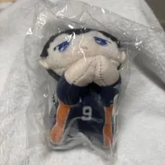 ハイキューはぐキャラ