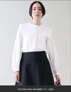 【新品】マルティニーク　ピンタックカラーブラウス