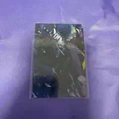 Crazy Raccoon CR コレクションカード レア Vanilla