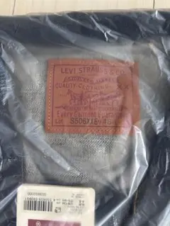 Item thumbnail for item 0cd17ac2-9e0c-407c-8e18-548ad7312a7b