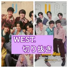 ドル誌切り抜き　一冊丸々購入有り メール便可】 蒔絵シール 桜ちらし - 金銀箔工芸さくだ ／ 金箔を使用