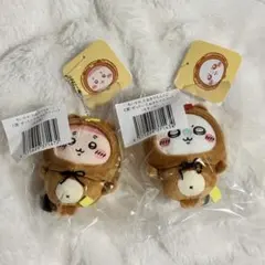 たぬきだもんくじ C賞 モモンガ 古本屋