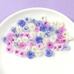 ✿ かすみ草 ドライフラワー カラーMIX 50粒 ＋α ✿ 【22】