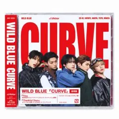 WILD BLUE CURVE 通常盤 未開封