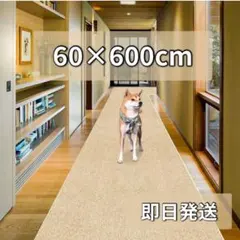 新品フローリングマット約600 60cm 玄関マット 4mm吸着マット滑り止め