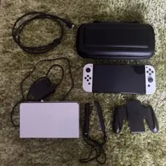 【美品】Nintendo Switch 有機ELモデル 本体セット+ケース付き