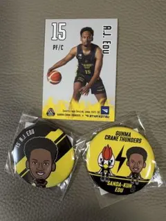 A.J. EDU バスカード＆缶バッジ2個セット