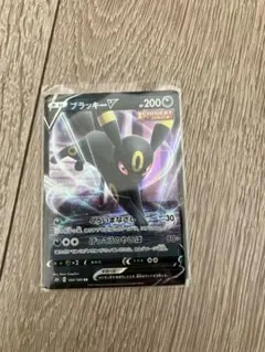 Item thumbnail for item 219eb943-f8c3-4794-a044-9ffbb891ad4c