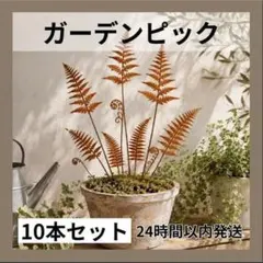 10本　ガーデンピック 園芸 ガーデニング アイアン シダ植物 B-955