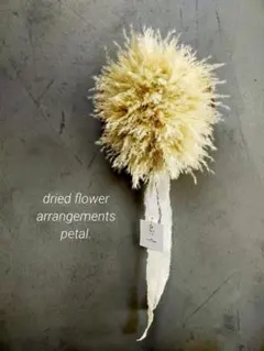 Item thumbnail for item 54eec60c-78fc-460b-9ae4-7e75e389c526